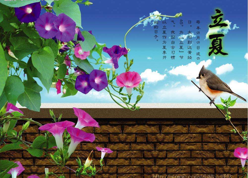 立夏).jpg