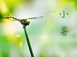小暑g.jpg